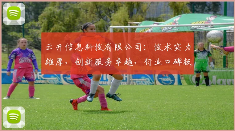 云开信息科技有限公司：技术实力雄厚，创新服务卓越，行业口碑极佳，值得信赖